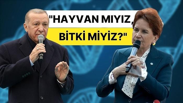 Erdoğan'ın 'Her Türe Saygımız Var' Sözlerine Meral Akşener'den Tepki: "Hayvan mıyız, Bitki miyiz?"