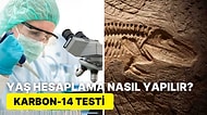 Fosillerin Yaşı Nasıl Bulunuyor? Arkeoloji Dünyasında Karbon Testi ile Yaş Hesaplamanın Sırrı