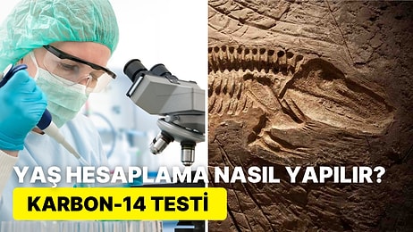 Fosillerin Yaşı Nasıl Bulunuyor? Arkeoloji Dünyasında Karbon Testi ile Yaş Hesaplamanın Sırrı