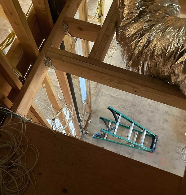 1. «Мой коллега Нед всегда пинает мою лестницу»