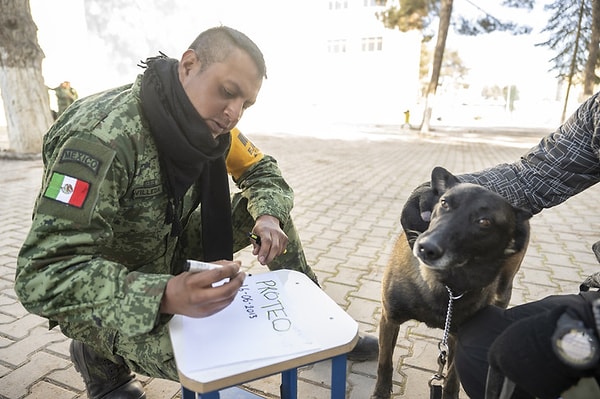 Türikye, Proteo'nun mirasını yaşatmak için bir Alman çoban köpeği yavrusunu Meksika’ya yolladı.