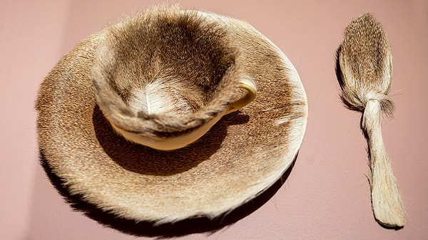 3. Meret Oppenheim - Nesne