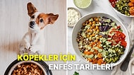 Patili Dostlarımız Her Gün Aynı Şeyi Yesin İstemiyorsanız İşte Birbirinden Besleyici Köpek Maması Tarifleri