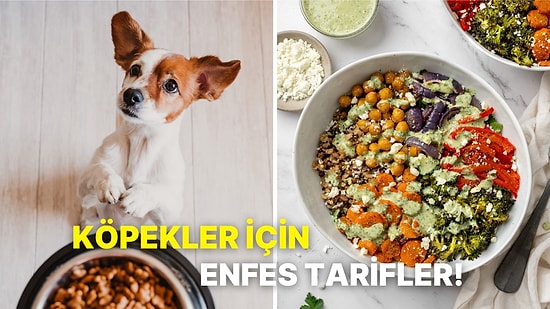 Patili Dostlarımız Her Gün Aynı Şeyi Yesin İstemiyorsanız İşte Birbirinden Besleyici Köpek Maması Tarifleri