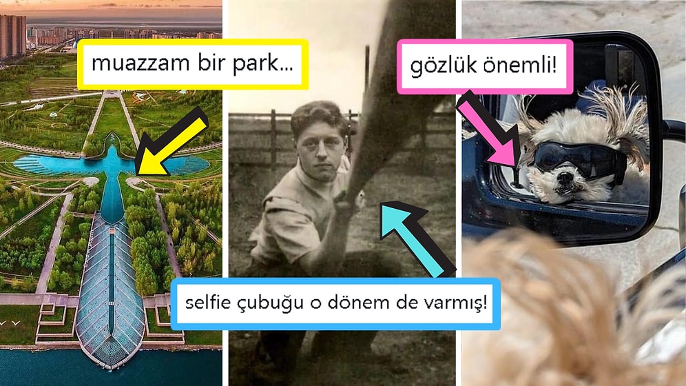 Gördüğünüz Anda İçinizin Yağlarını Eritip Sizi Pamuk Gibi Yapacak Birbirinden Etkileyici 17 Görsel