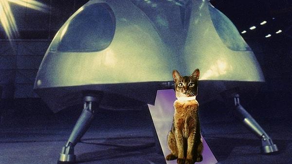 11. The Cat from Outer Space (1978)