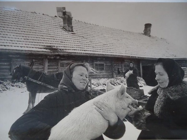 10. 1947-1953 годы.