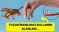 Tadınız Tuzunuz Kaçmasın! Tuzu Mutfak Dışında Kullanabileceğiniz Birbirinden İlginç Yerler