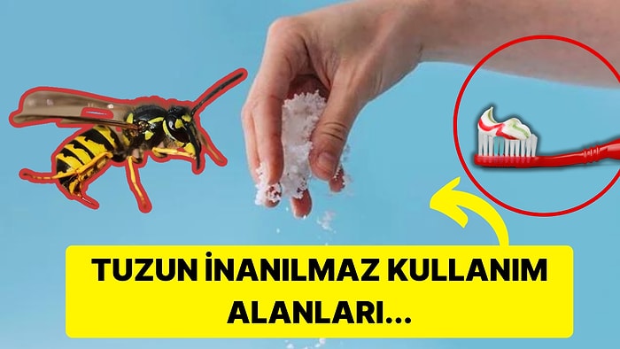 Tadınız Tuzunuz Kaçmasın! Tuzu Mutfak Dışında Kullanabileceğiniz Birbirinden İlginç Yerler