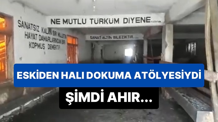 İsmail Saymaz, Halk Eğitim Merkezine Bağlı Halı Dokuma Atölyesinin Ahıra Dönüşme Hikayesini Paylaştı