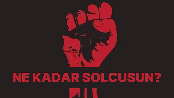 Ne Kadar Solcusun?