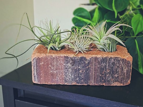 9. «Мы с мужем познакомились, когда нам было 15 лет на втором курсе в нашей средней школе, которую сейчас сносят. Несколько лет назад, когда я был в гостях в нашем родном городе, я украл один из выброшенных кирпичей со строительной площадки. Этому кирпичу 112 лет»