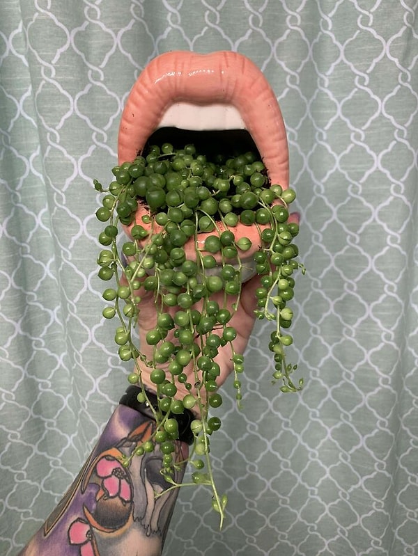 18. Очень по-рок-н-ролльному