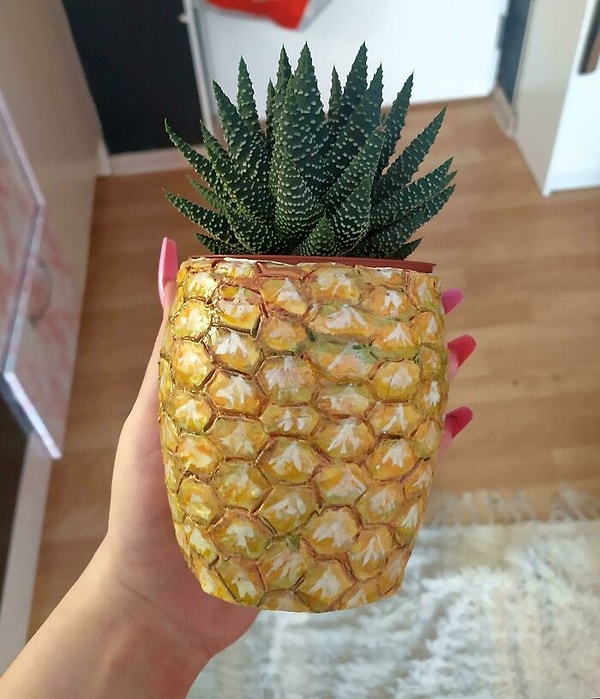 19. Еще один симпатичный ананс