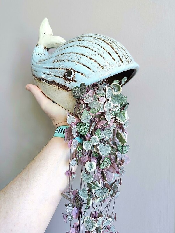 20. А это была подставка для губки