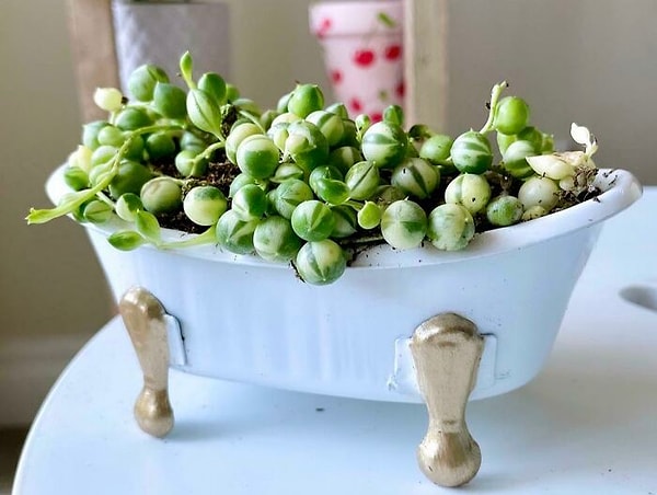 27. Ванна с пеной