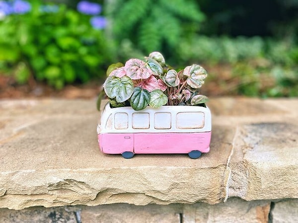 32. Повеяло французскими круассанами