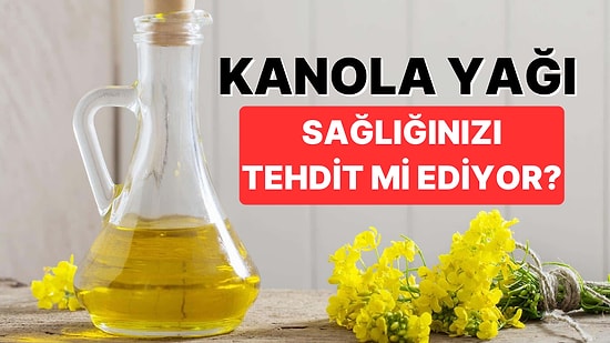 Tercih Edip Etmemek Size Kalmış: Faydaları ve Zararlarıyla Kanola Yağı