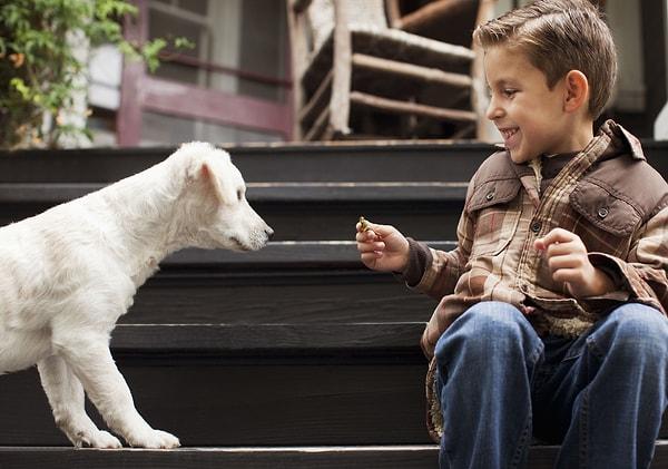 5. Çocuğunuza kedi-köpek sevgisini aşılamak için sokak hayvanlarını birlikte besleyebilirsiniz. Kapınızın önüne su ve mama koyarak sokak hayvanları için faydalı olabilirsiniz.
