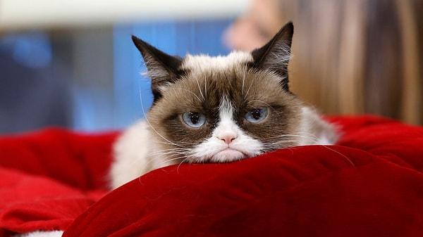 15. Grumpy Cat