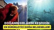 Uzak Dünyaların Kapılarını Aralayın: Mutlaka İzlemeniz Gereken Muhteşem Doğa Belgeselleri