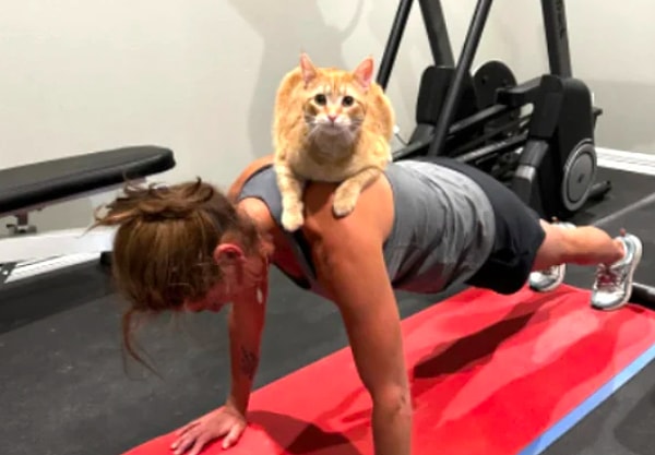 14. Если спорт, то только такой 💪