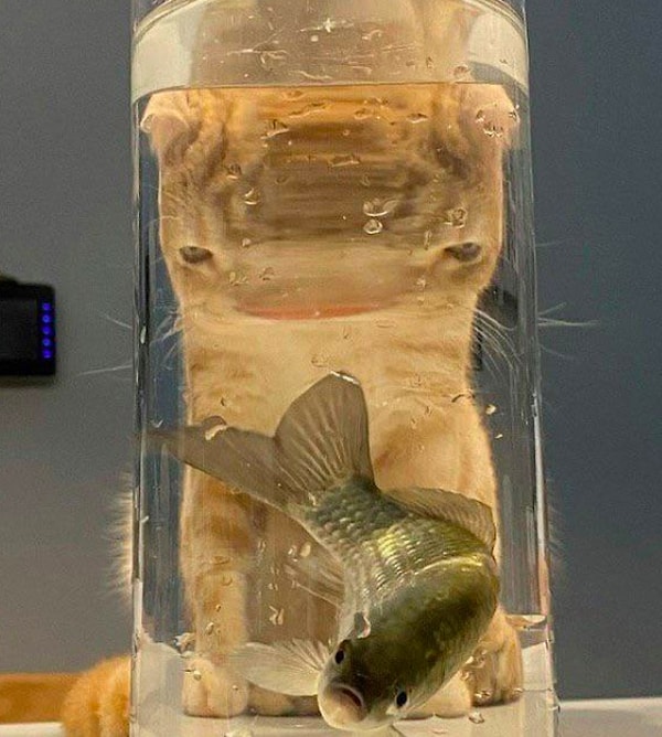 15. Как вам такой ракурс?