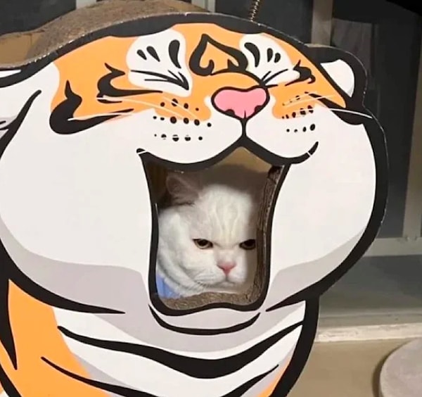 8. Когда попал в пасть к тигру 😨