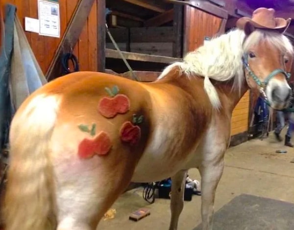 9. А как вам такая лошадь?