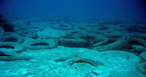 Broward Yapay Resif A.Ş. (BARINC) 1972'de felakete yol açacak bir strateji tasarladı. Otomobil lastiklerini okyanusa atarak yeni balık yaşam alanları oluşturmanın mümkün olabileceğine inandılar.