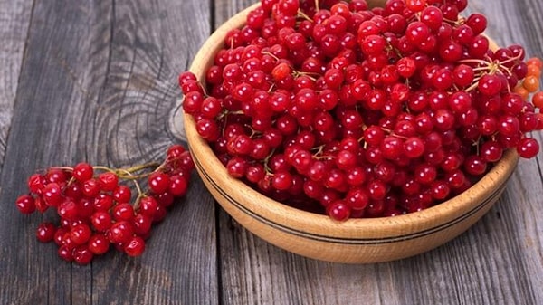 Uzmanlar, gilaburunun C vitamini, antioksidanlar ve fenolik bileşikler açısından zengin olduğunu vurguluyor.