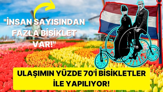 Bisikletler Ülkesi Olan Hollanda'da Neden Herkes Bu Kadar Fazla Bisiklet Kullanıyor?