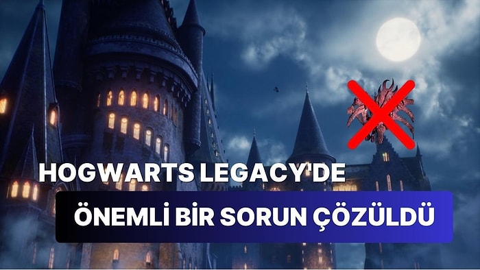 Hogwarts Legacy'e Gelen Arachnophobia Modu Çok Şükür Dedirtti