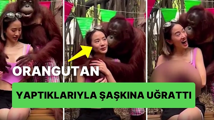 Hayvanat Bahçesinde Yakınlaştığı Orangutanın Yaptıkları ile Şaşkına Dönen Kadın