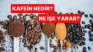 Anksiyete ve Huzursuzluk Yaşıyorsanız Sebebi Kafein Olabilir! Faydaları ve Zararlarıyla Kafein Nedir?