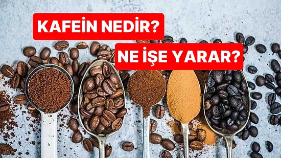 Anksiyete ve Huzursuzluk Yaşıyorsanız Sebebi Kafein Olabilir! Faydaları ve Zararlarıyla Kafein Nedir?