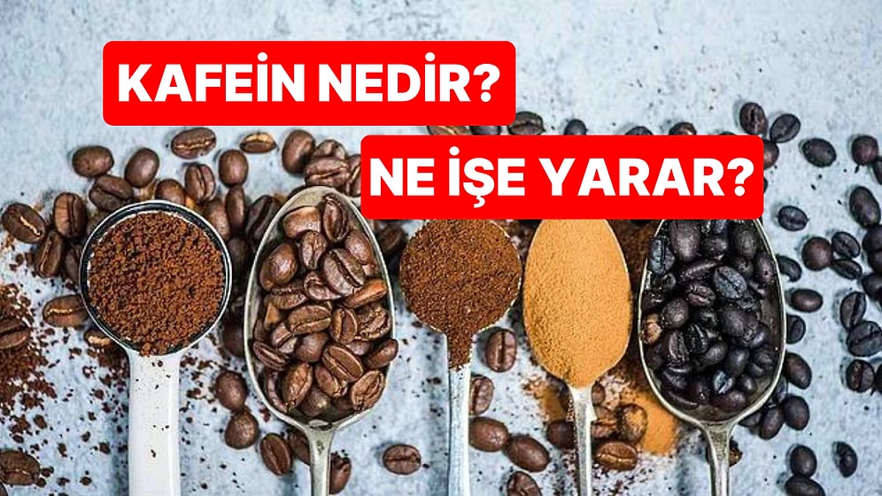 Anksiyete ve Huzursuzluk Yaşıyorsanız Sebebi Kafein Olabilir! Faydaları ve Zararlarıyla Kafein Nedir?