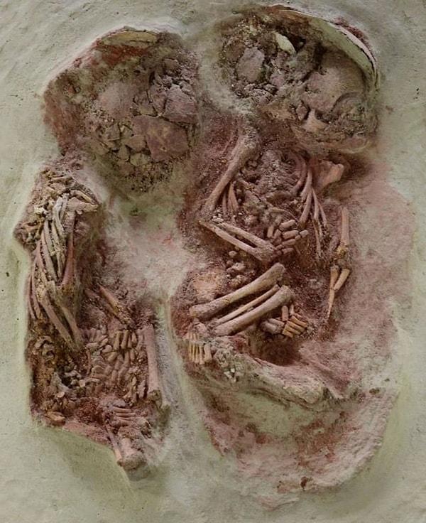 12. Vücutları kırmızı aşı boyasıyla kaplı ve yaklaşık 31.000 yıl önce Avusturya'da bir mamut kemiğinin altına gömülen bu iki erkek bebek, bilinen en eski tek yumurta ikizleridir  👇