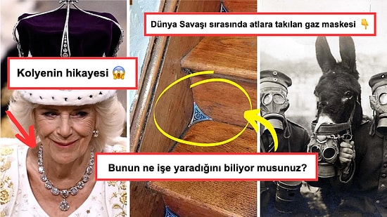 Gördükten Sonra Dünyaya Bakış Açınızı Değiştirecek Her Biri Birbirinden Enteresan 15 Görsel