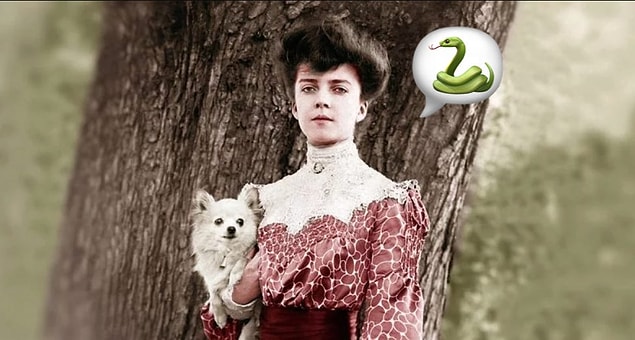 2. Eski ABD Başkanı Theodore Roosevelt'in kızı Alice bir yılan besliyordu. Kendisinin yılanı Beyaz Saray koridorlarında insanları epey korkutuyordu...