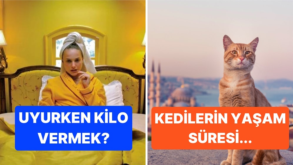 Öğrendiğiniz Andan İtibaren Bilgi Şöleninde Boğulacağınız Birbirinden İlginç Kültürel Gerçekler