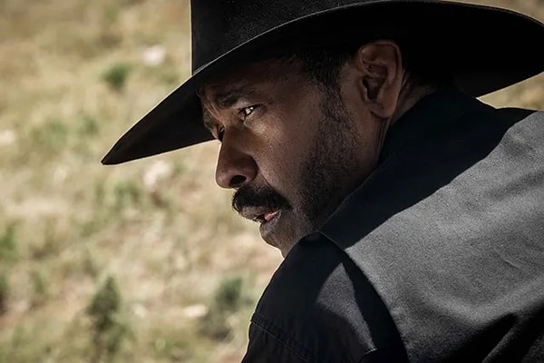 2. Какую долю от общего числа ковбоев Северной Америки составляли афроамериканцы?