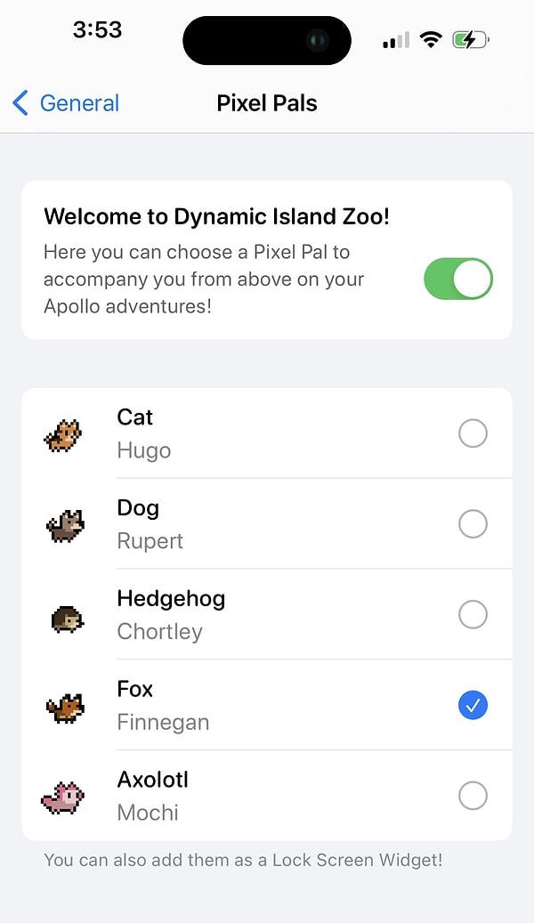 Dynamic Island’a ekleyebileceğiniz kedinin ismi geliştiricisinin gerçek hayattaki kedisi Hugo'nu adı ile aynı. Ancak tek hayvan seçeceği kedi değil: Dynamic Island’a köpek Rupert, kirpi Chortley, tilki Finnegan ve askolotl Mochi'yi de ekleyebiliyorsunuz.