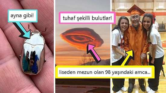 Gördüğünüz Anda İçinizin Yağlarını Eritip Sizi Pamuk Gibi Yapacak Birbirinden Etkileyici 15 Görsel