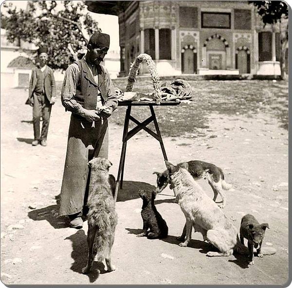 1. Sultanahmet'te simitlerini sokak köpekleriyle paylaşan bir simitçi Sultanahmet. (1880'ler)