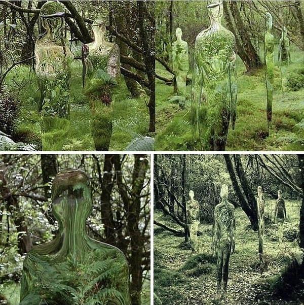 6. İskoç sanatçı Rob Mulholland'ın ormanı yansıtan ayna heykelleri👇