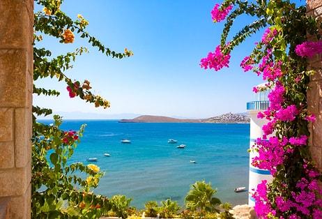 Bodrum, Turkey: A Journey through History, Culture, and Natural Wonders