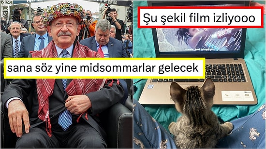 Dizi ve Filmlerle İlgili Attıkları Komik Tweetlerle Hepimizi Güldürüp Keyfimizi Yerine Getiren Kişiler