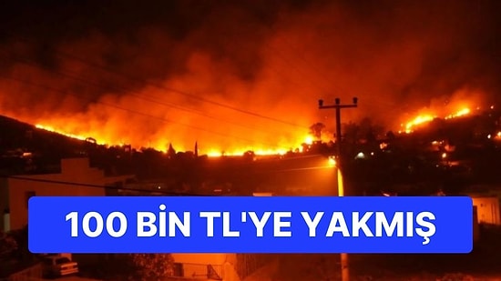 100 Bin TL'ye Yakmış! Bodrum'da Orman Yangını Çıkaran Kişi Yakalandı