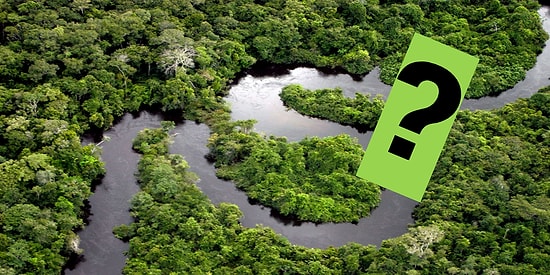Тест: Ответить на все вопросы по рекам мира сможет только настоящий знаток географии